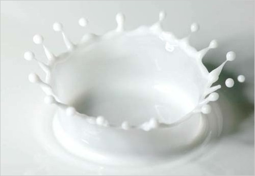 ミルク1.jpg
